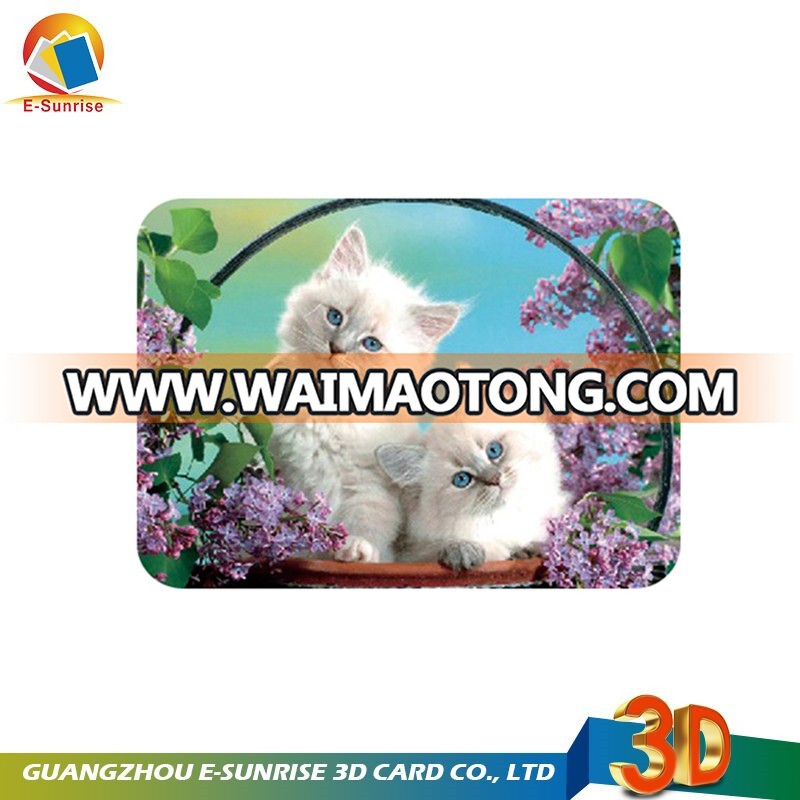 wholesale animal 3d placemat / lenticular placemat / plastic placemat for promotion