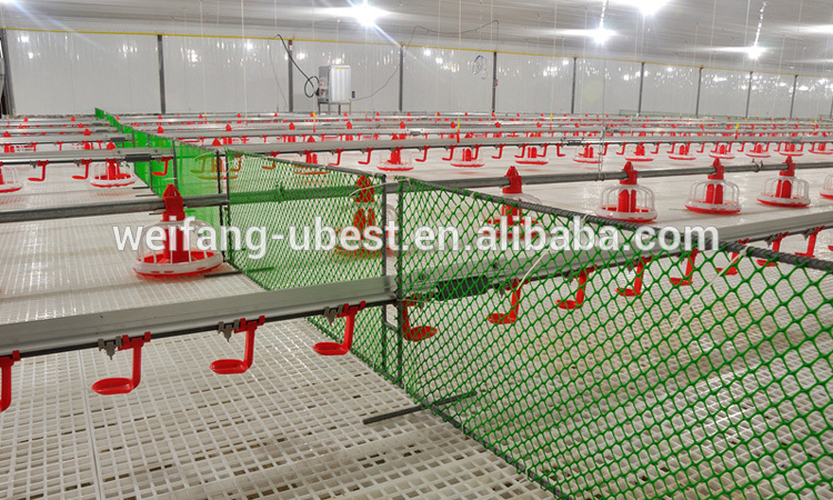 automatic poultry drinkers for chicken