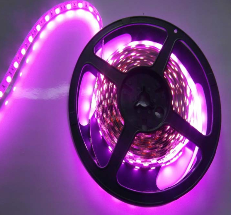 LED Purple Strip Light 10W 24V 460nm IP65/IP66