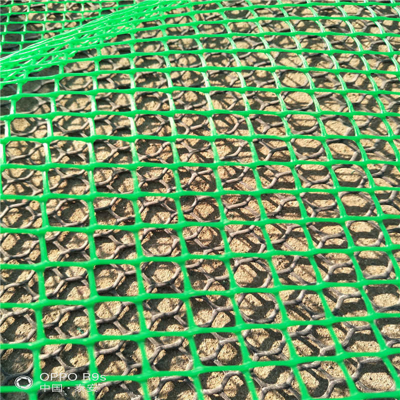 HDPE plastic  square mesh/Green square/15*15mm mesh size