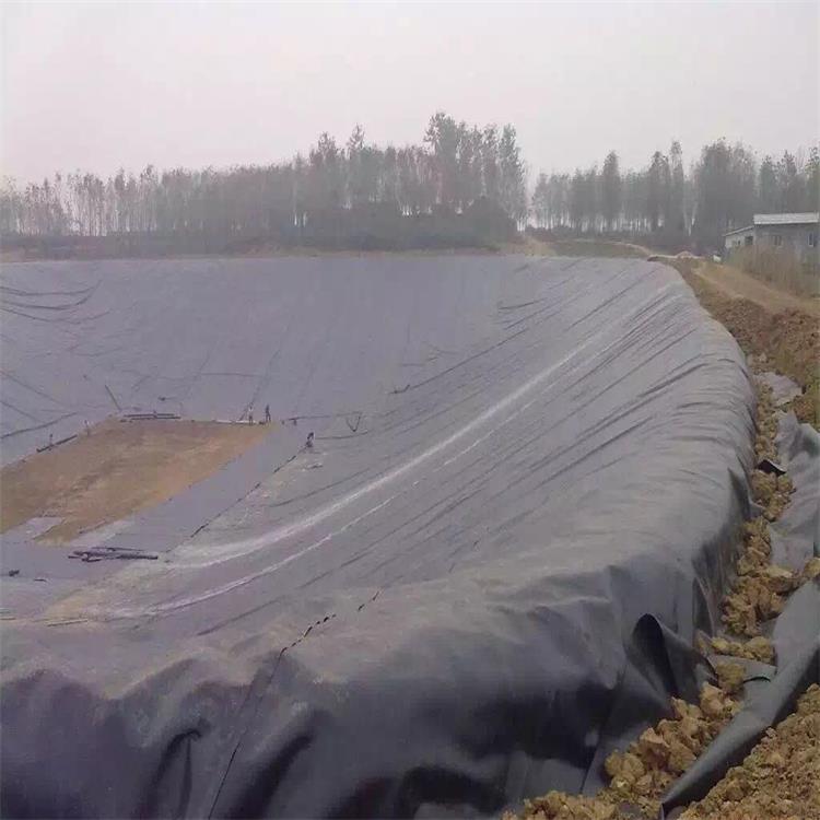 Smooth Surface HDPE Plastic Waterproof Geomembrane Liner for