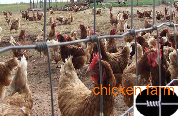 2015 Durable Firm Livestock Metal Cattle Fence,Wholesale Bulk Cattle Fence,Cattle Fence