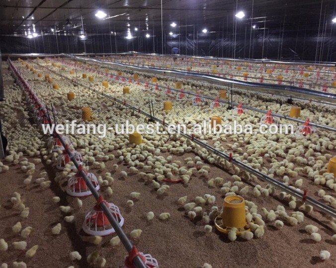 2015 best sell poultry farming equipment broiler chicken