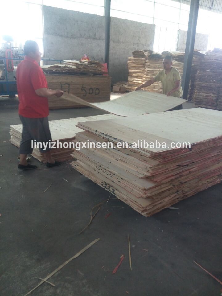 pine core plywood/korindo plywood/plywood plate