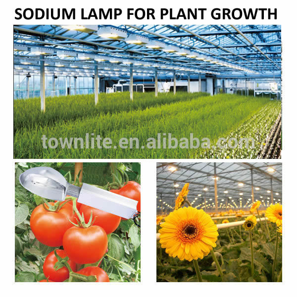 600w hps grow light for plant growth