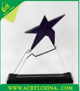 Clear blank acrylic award trophy