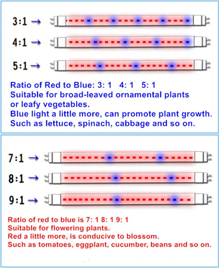 Customized Red Blue ratio 3:1 5:1 6:1 7:1 9:1 96pcs 2835SMD 1.2m 120cm 4ft 18W T8 Integrated fluence led grow light