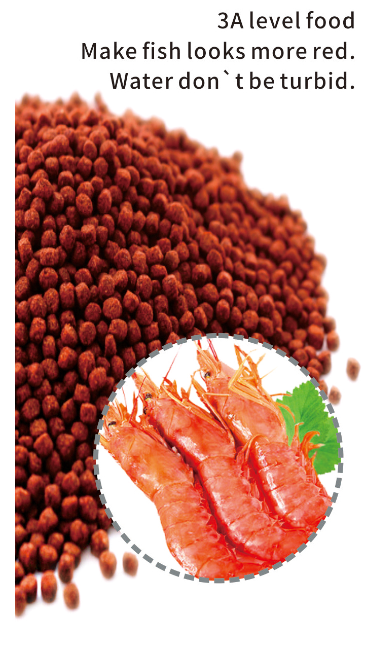 Minjiang parrot fish food for aquarium fish feeding factory cheap price red feeds