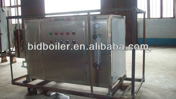 LDR 50kg 70kg Portable Mini Electric Steam Boiler Price With Stainless Steel