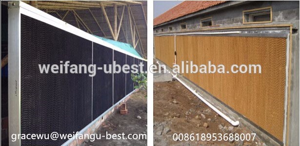 china broiler poultry farm design