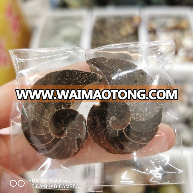 3-5CM Wholesale Natural Ammonite Fossils Jade Madagascar Conch Fossils Slices Conch Shell for Decor