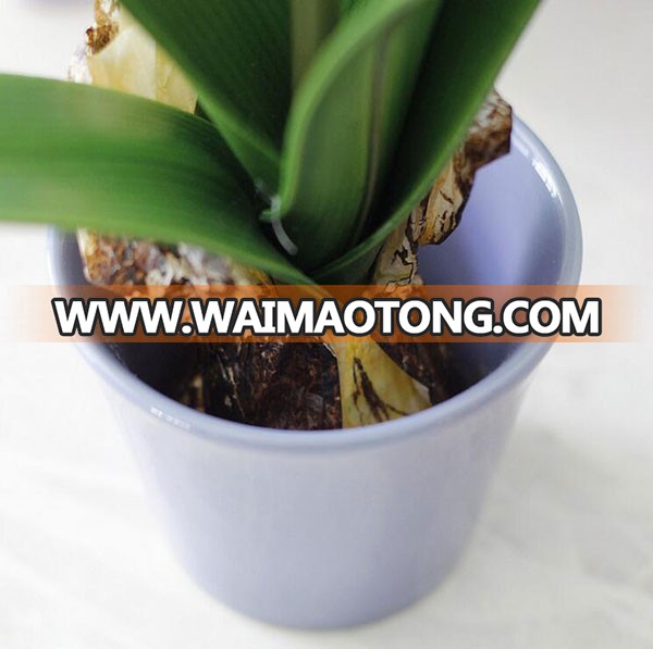 Hot style fabric artificial hyacinth bonsai forhome decoration