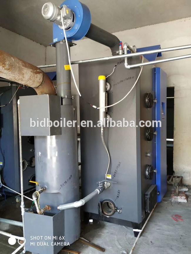 Biomass wood pellet water boiler for domestic heating