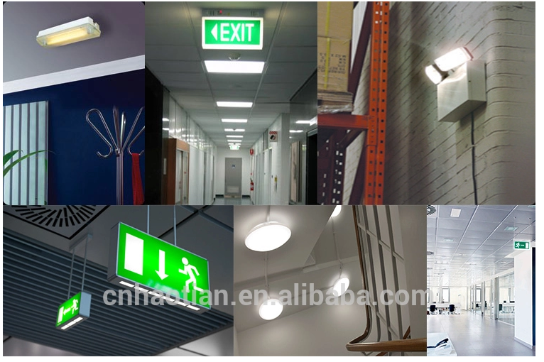 Australia  market automatic emergency light backup emergency exit led charging light