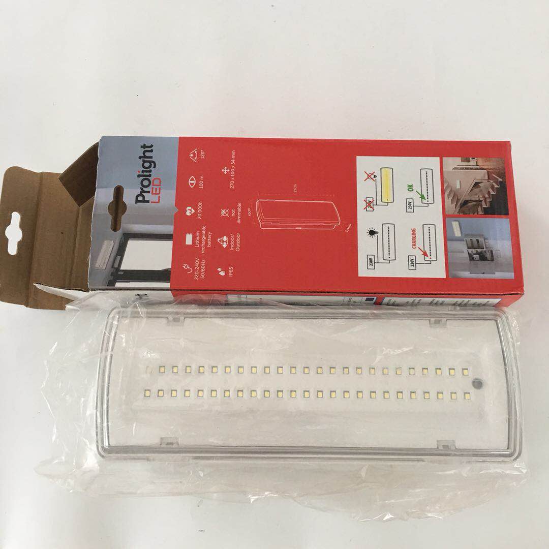 IP65 waterproof emergency light portable emergency bulkhead light