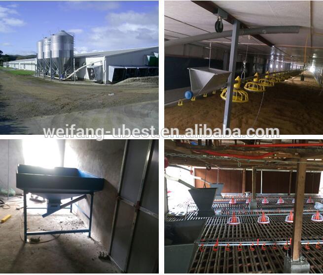 high quality automatic chicken feeder houses for sale in kenya