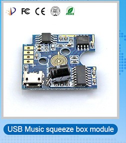 Mini voice recorder chip usb sound module