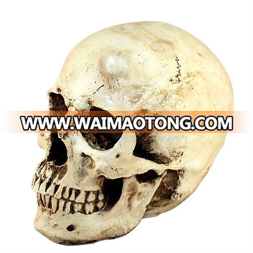 Halloween skeleton  decoration statue for home decoration