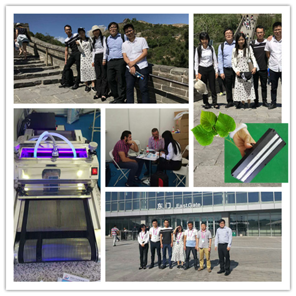 RW factory Portable UV Curing Machine hands held led uv lamp