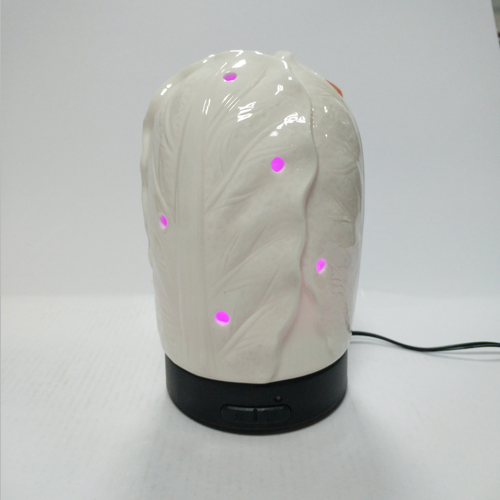 100ML Aromatherapy Diffuser Essential Oil Diffuser Aroma Diffuser