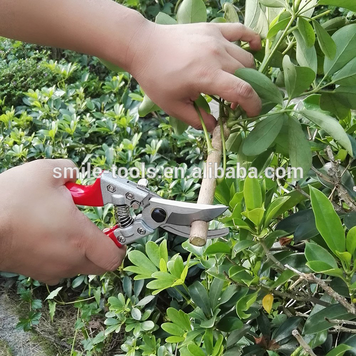 Hand Pruner Clippers Garden Scissors Garden Clippers Tree Cutter Trimmer Secateurs SK-5 Steel Blade with PTFE Coating and Safety