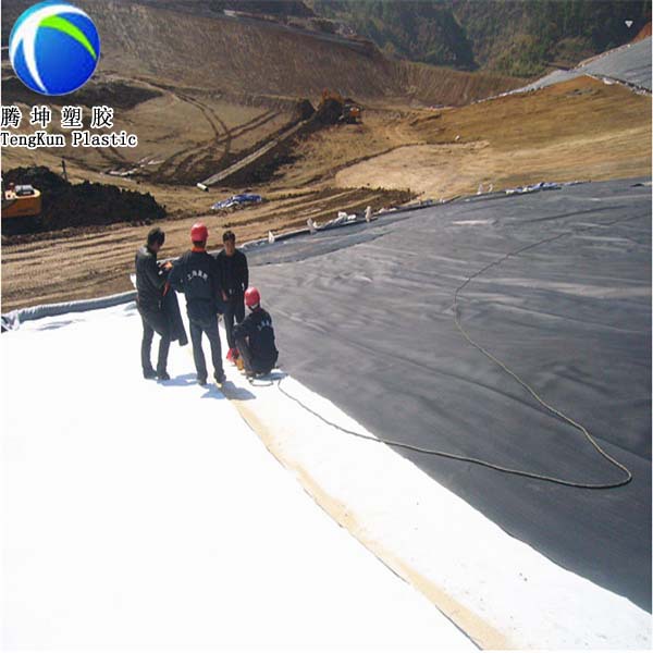 0.60mm Fish Pond Anti-seepage HDPE Geomembrane Liner