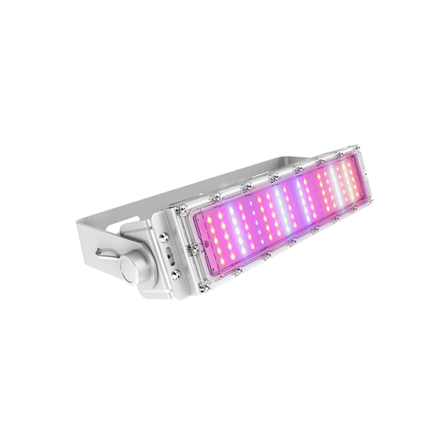 60W IP65 Die Cast aluminum  Agricultural Hydroponic Outdoor Light Led Grow Light Tunnel for Leafy Vegetables and plants