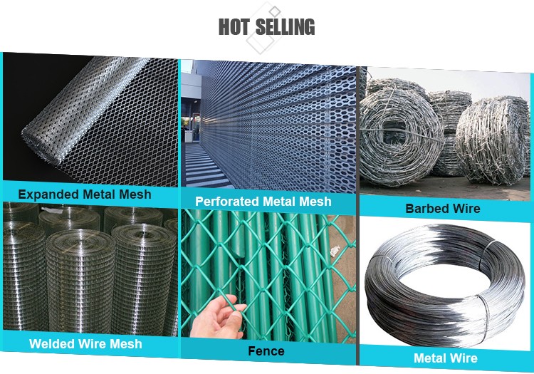 Quality all kinds of pattern Decorative Oval Stainless Steel Perforated Metal Mesh Sheet/china perforated metal sheet factory