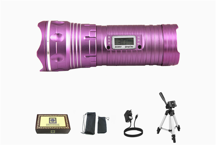 Hot Sale Multi-function Waterproof LED Fishing Light