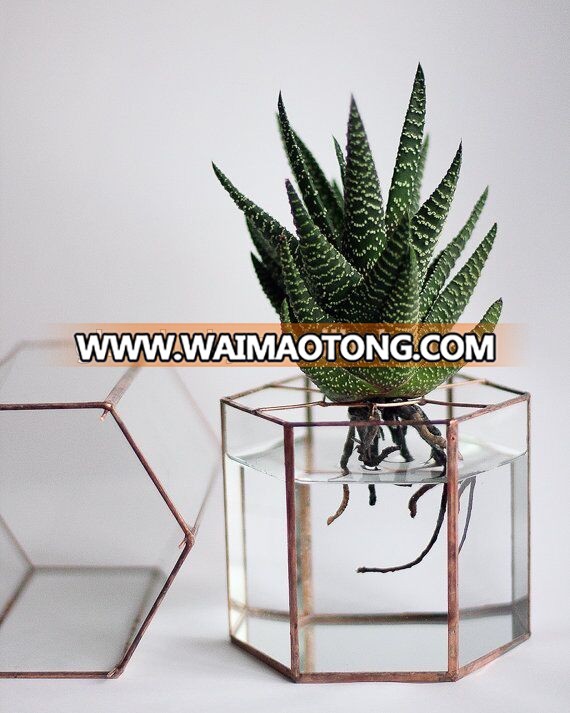 Elegant home decor handicraft geometric glass terrarium wholesale