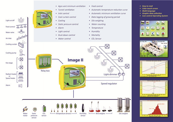 turnkey project for poultry farm design