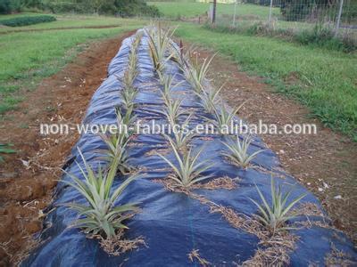 keep wet weed barrier cloth //weed barrier fabric//landscape fabric/Groundcover woven weed control fabric