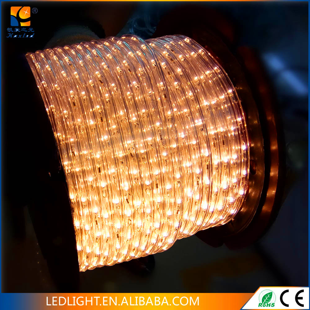 230v CE RoHS IP65 PVC round 2 wires led rope light indoor and outdoor decoration LED strip neon flex light