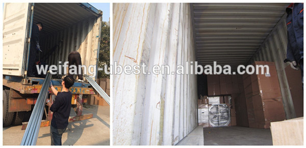 Automatic poultry farm chicken broiler feeding system