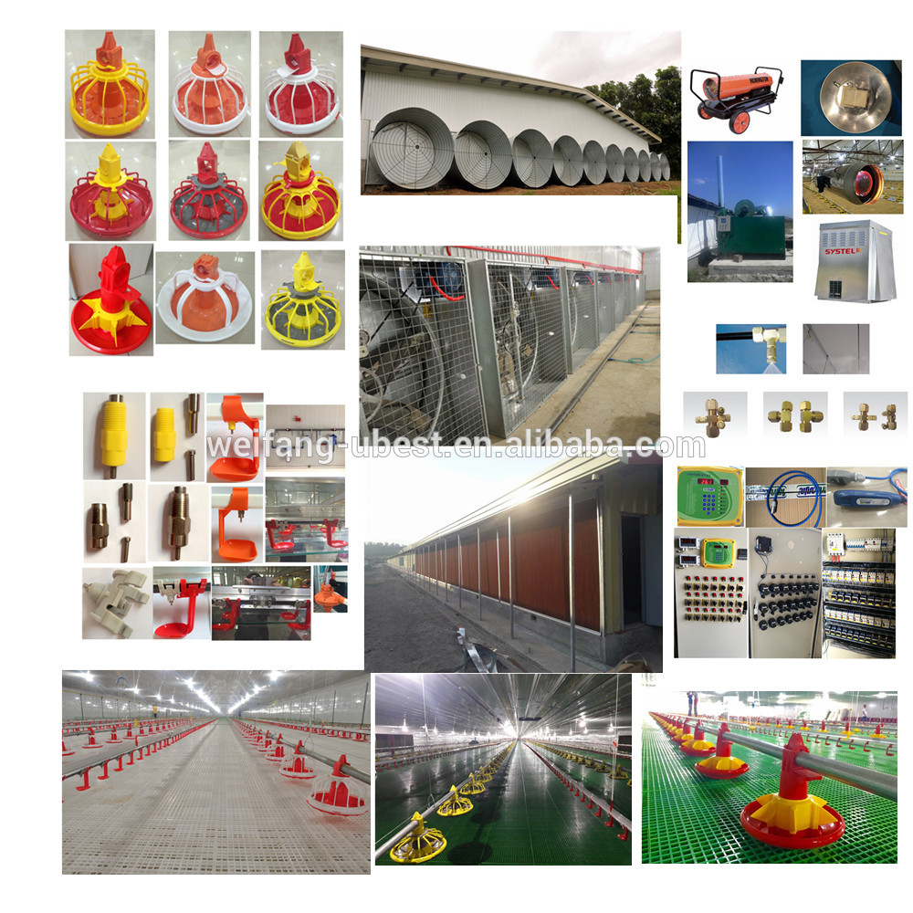 2015 best sell poultry farming equipment broiler chicken