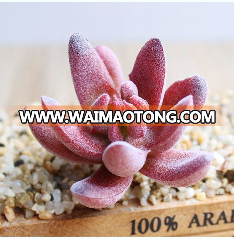 Factory plants artificial mini succulent plant for home decoration