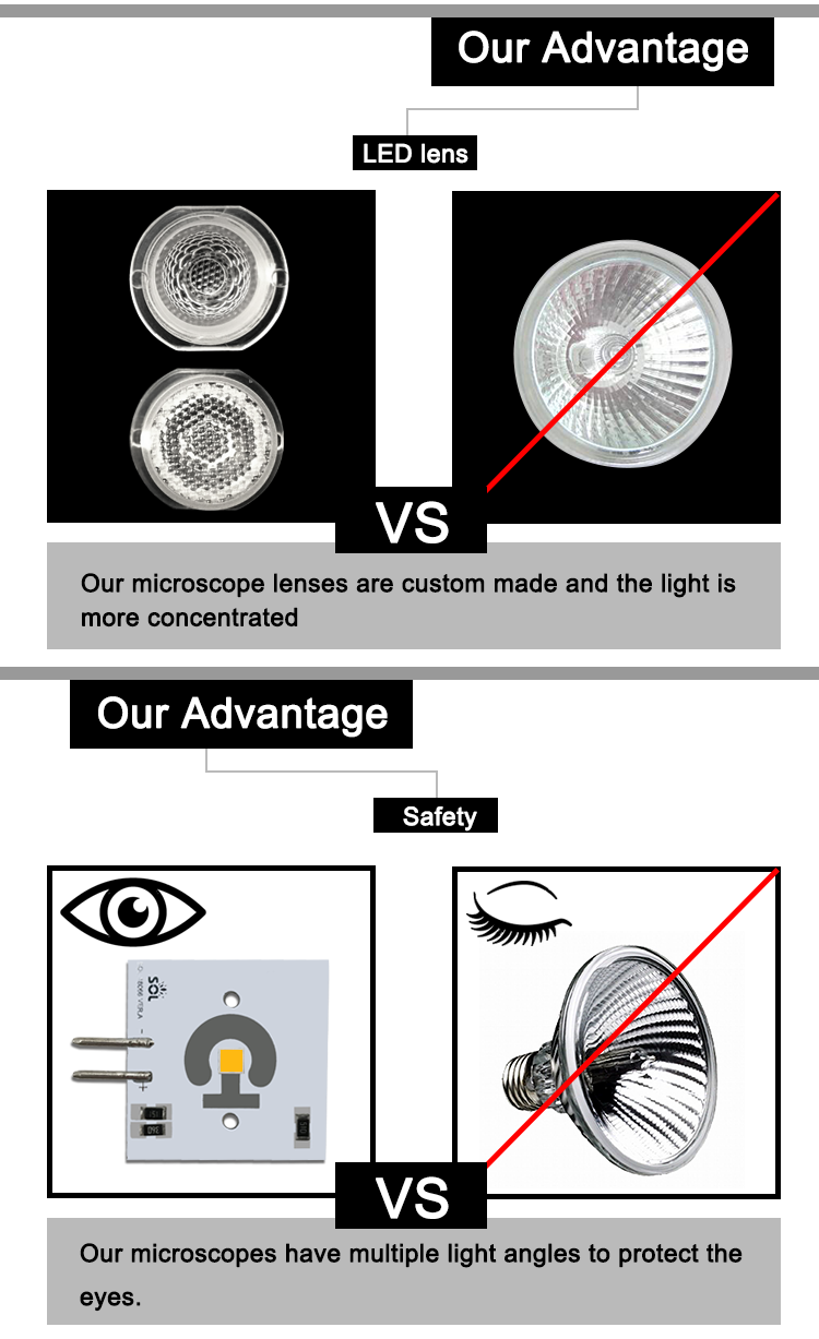 Hot sale best DC 6V Custom LED Microscope Light Module