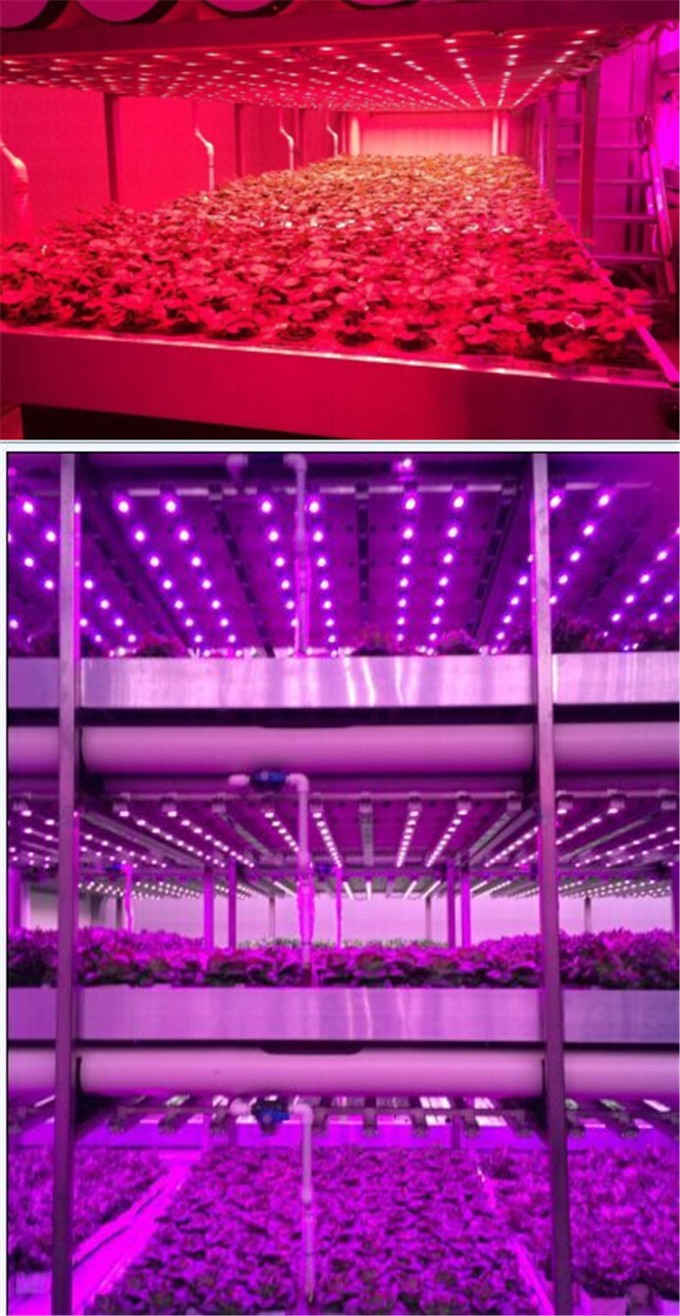 IP67 waterproof Double side lighting 120cm 120w LED grow bar light for greenhouse