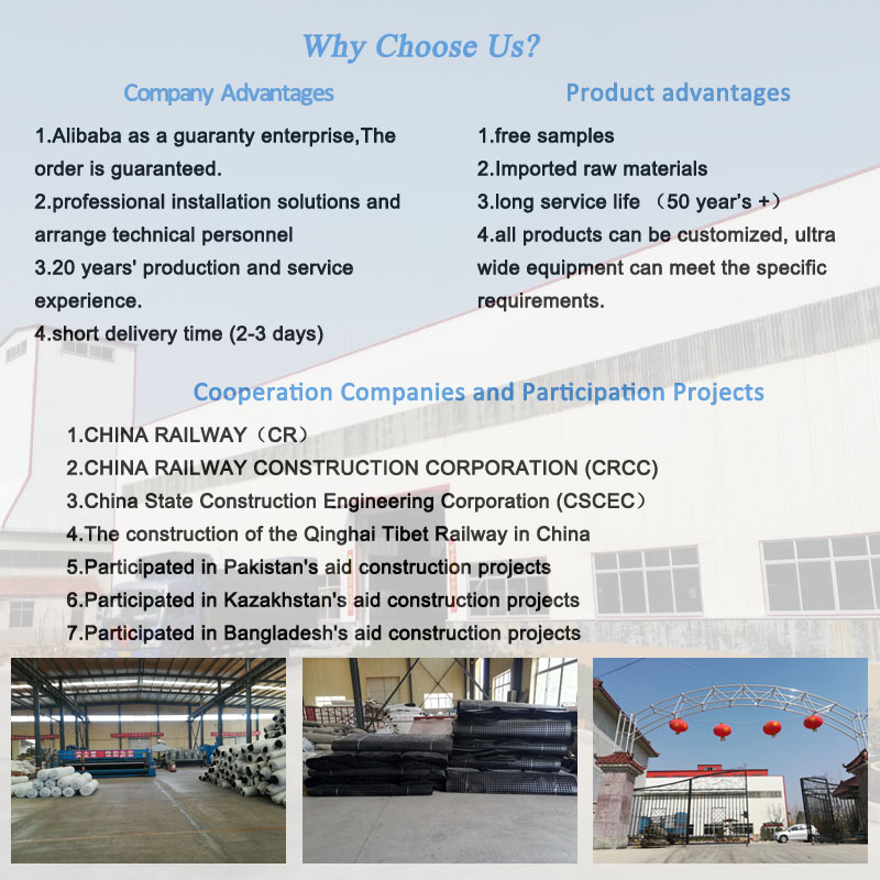 China retaining wall systems pp polyester geogrid biaxial