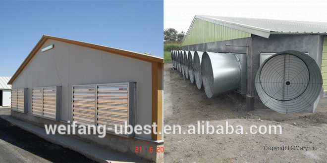 chinese supplier broiler chicken farming equipment for meat production