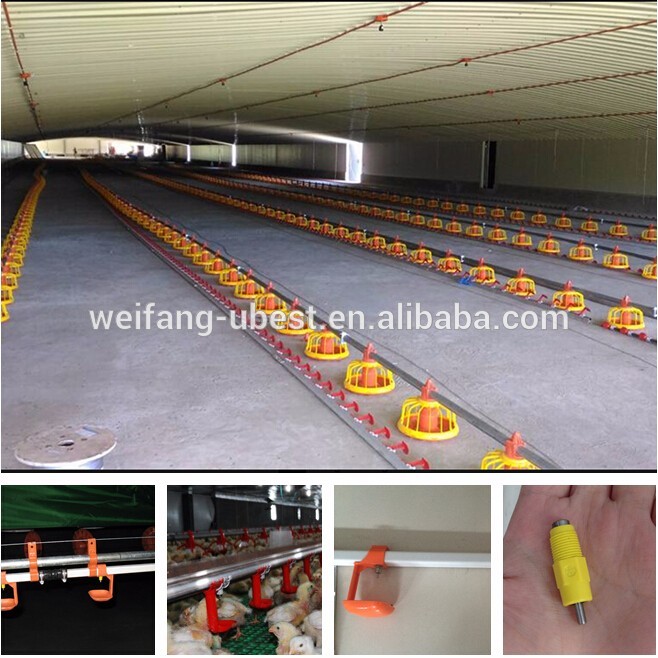 Poultry farm equipment for chicken house