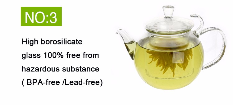 transparent heat resistant with stainless steel infuser glass teapot