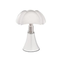 Induction Lamp Modern Aluminum Ceiling Lamp