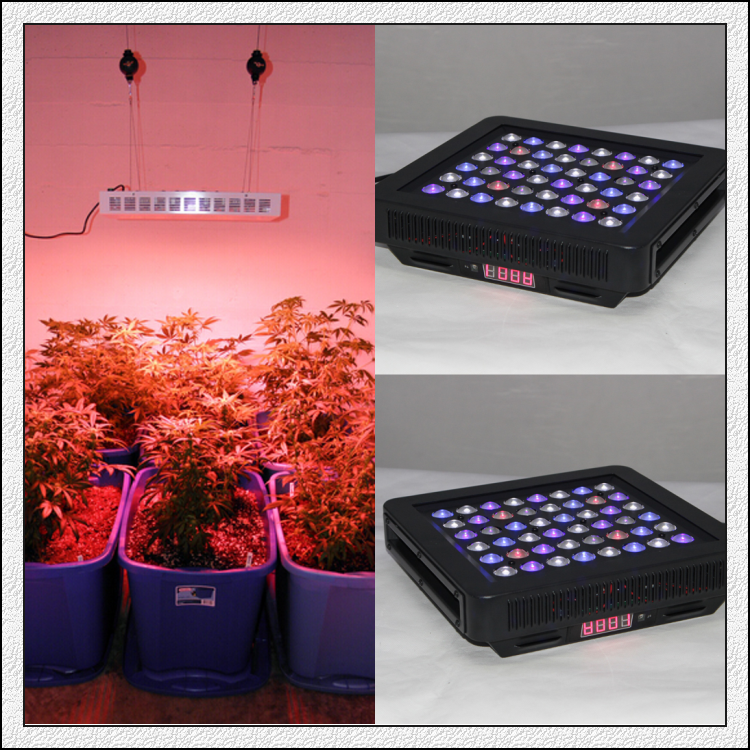 Waterproof led grow light -drop+ multichoice Lens, multi-chip 55w LED growing lamp