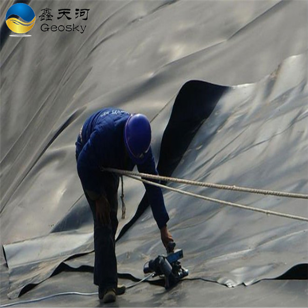 HDPE LDPE LLDPE  geomembrane / fish farm pond liner / geomembrane sheet