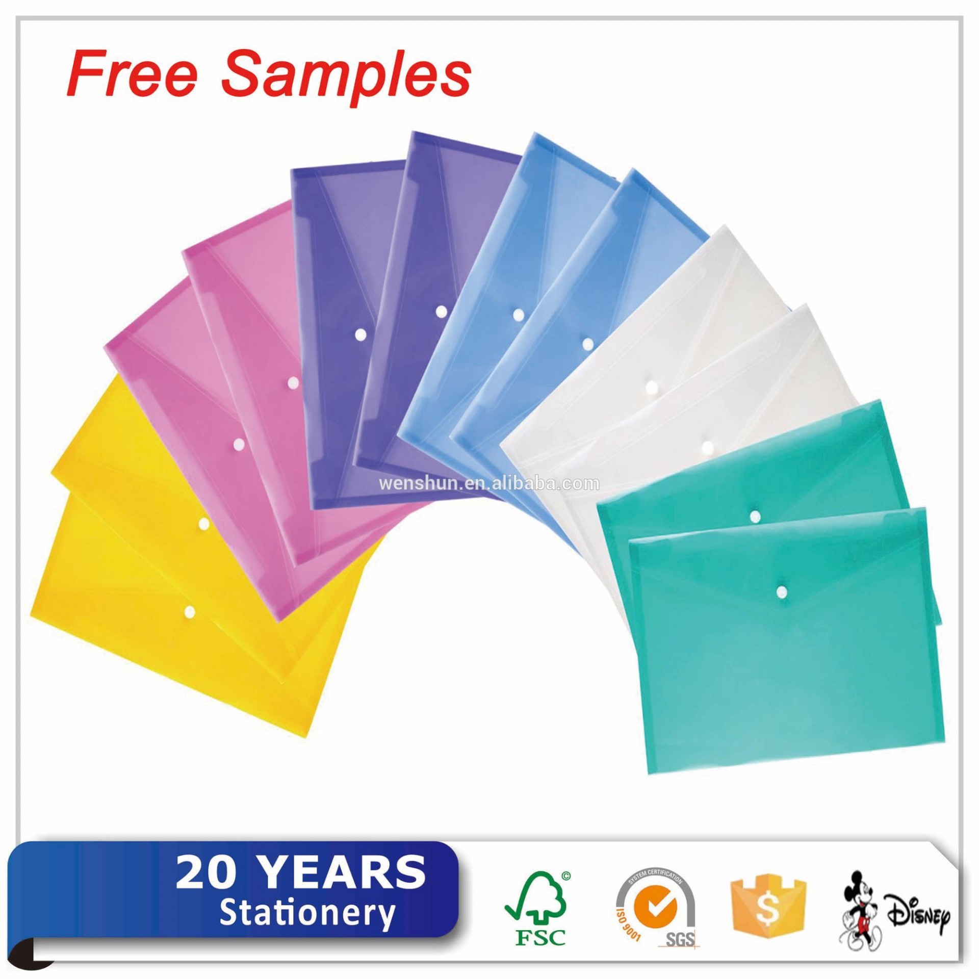 Free Sample Clear Plastic Business Document Bag