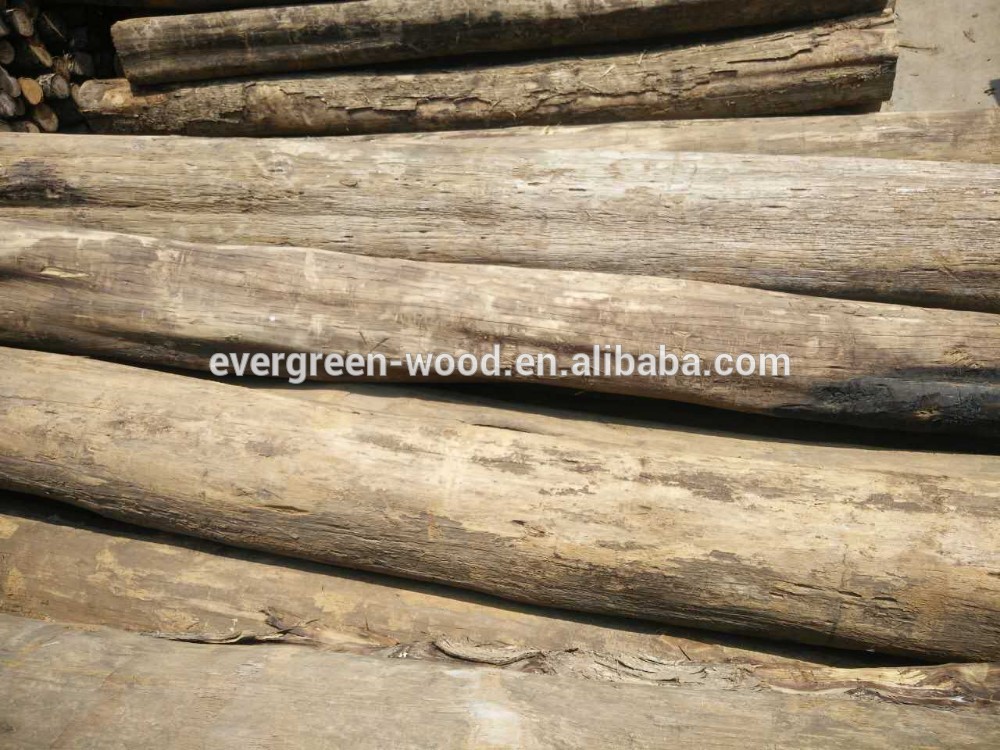 Burma teak round log natural teak whole sale