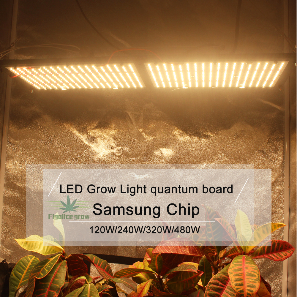 Figolite grow HLG-V2 125w Quantum tech Samsung led Board 301b+660nm led grow light dimmable