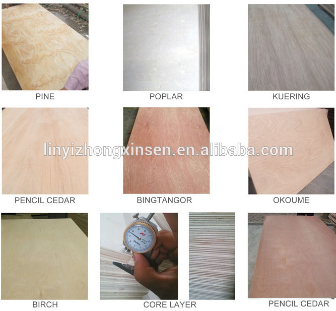 commercial plywood sheet/ okoume, pine plywood sheet prices/ Pine plywood