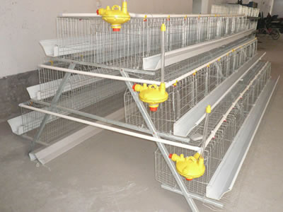 Egg laying hen battery layer cage for poultry farm